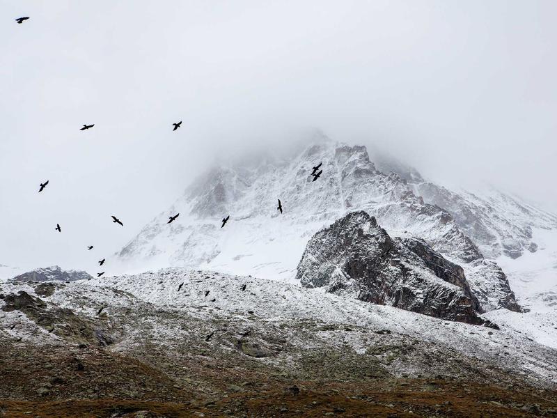 android screenshot 2